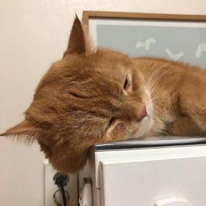 ༄༊࿆J💞Jღ᭄ꦿ࿐
