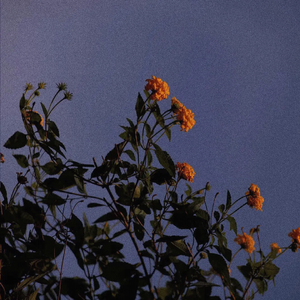 ༄༊࿆J💞Jღ᭄ꦿ࿐
